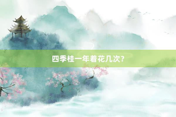 四季桂一年着花几次？