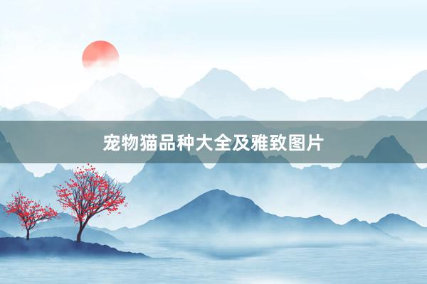 宠物猫品种大全及雅致图片