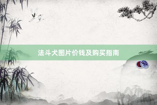 法斗犬图片价钱及购买指南